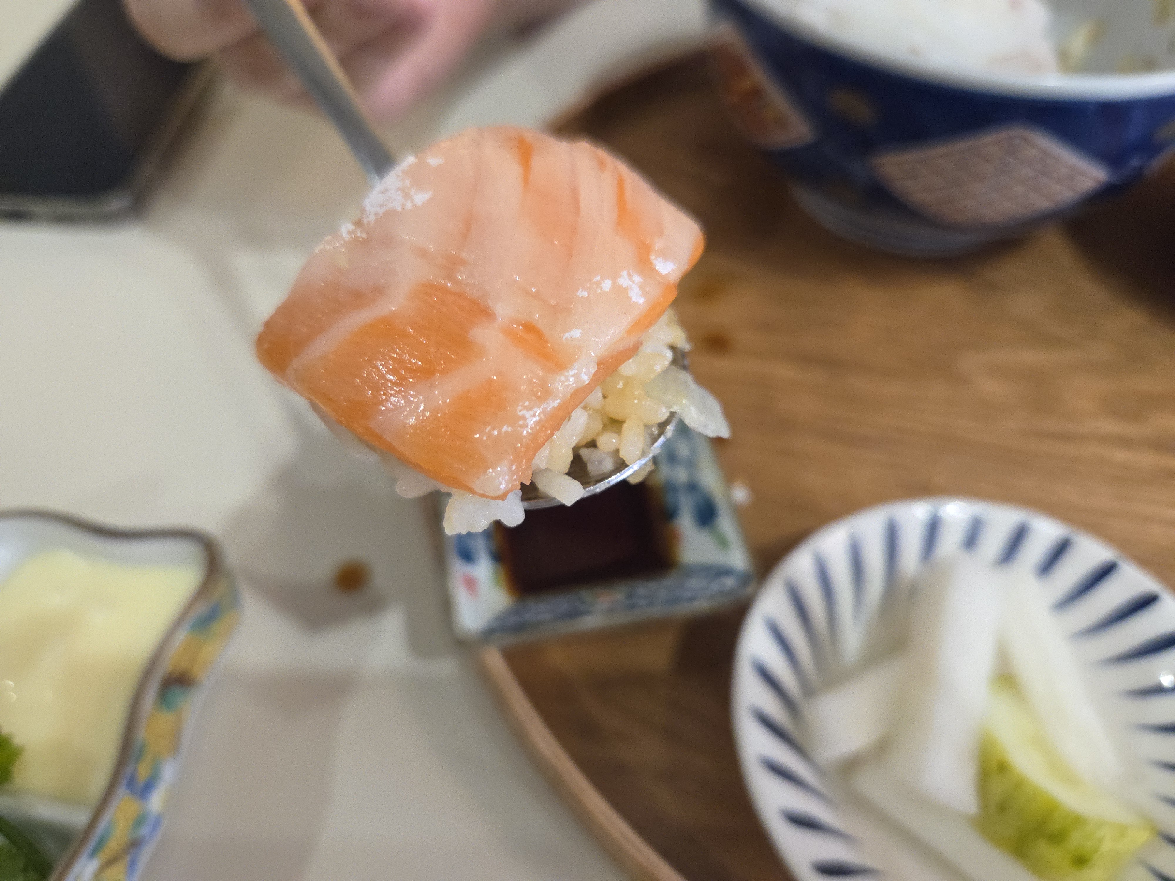 털복숭이고양이