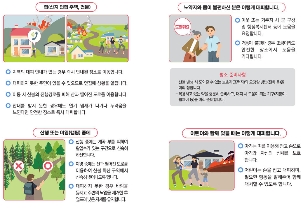 🔥 최근 산불 문제의 원인과 개선해야 할 산림정책