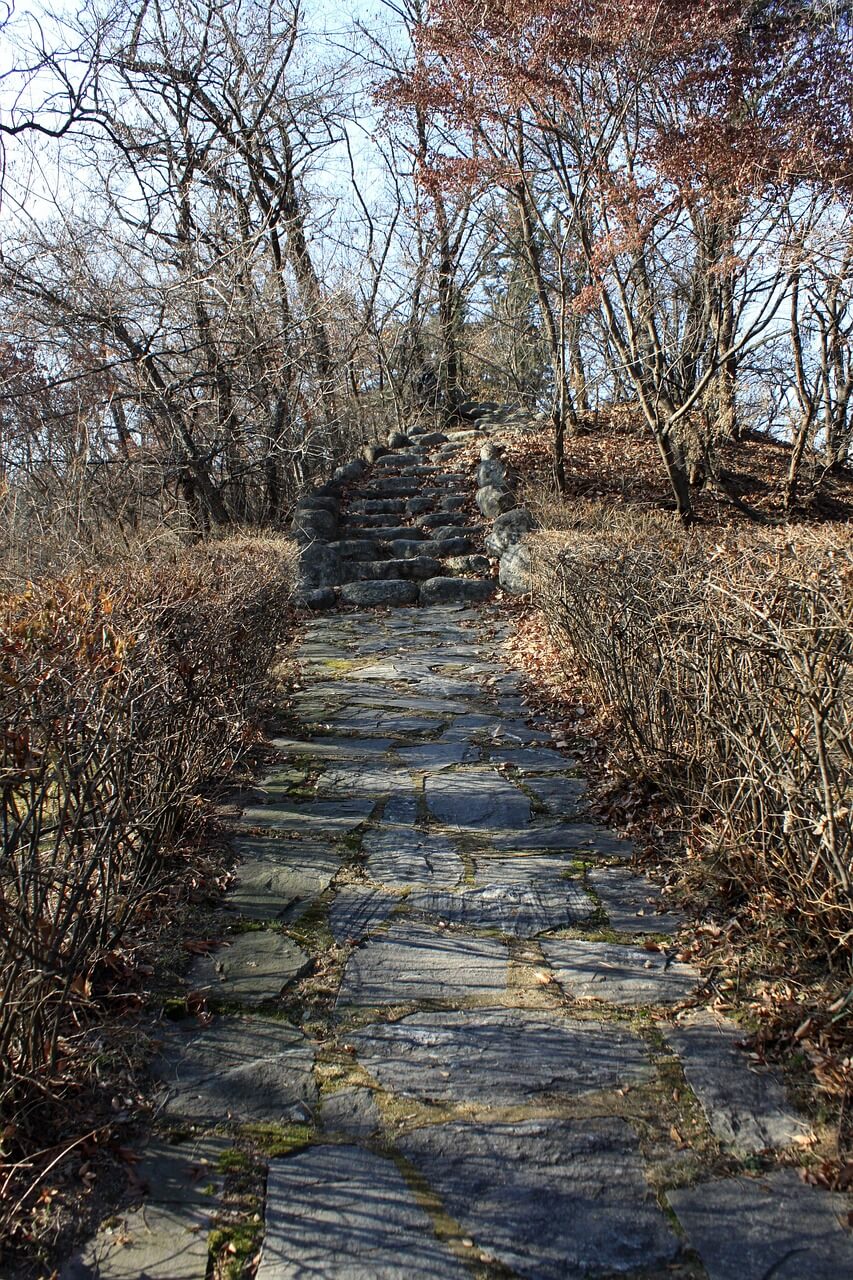 도시 속 조용한 산책 코스 전주 완산공원 산책길 – 오래된 돌계단 위의 사색