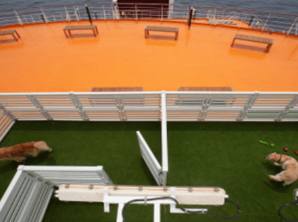 골드스텔라호 시설 및 객실 요금