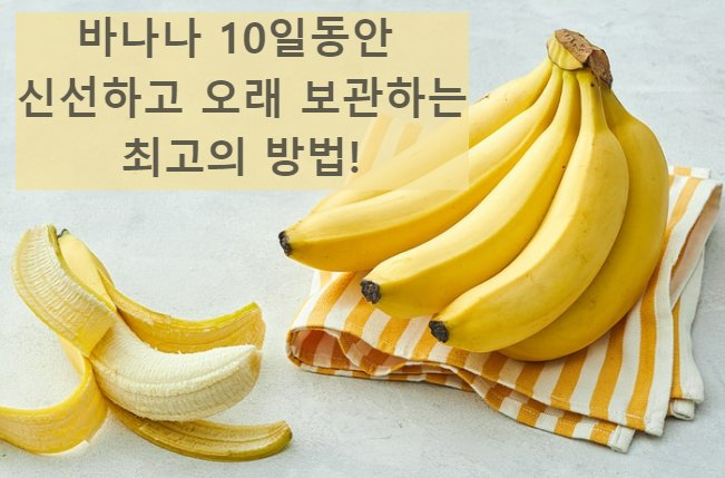 바나나 보관법, 냉장? 냉동? 신선하고 오래 보관하는 꿀팁!