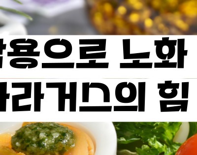 아스파라거스 효능