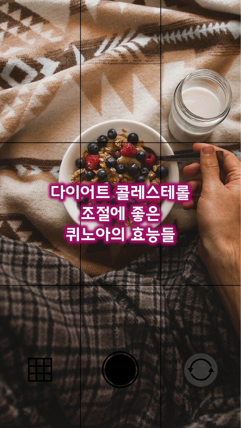 콜레스테롤 조절에 좋은 퀴노아 효능