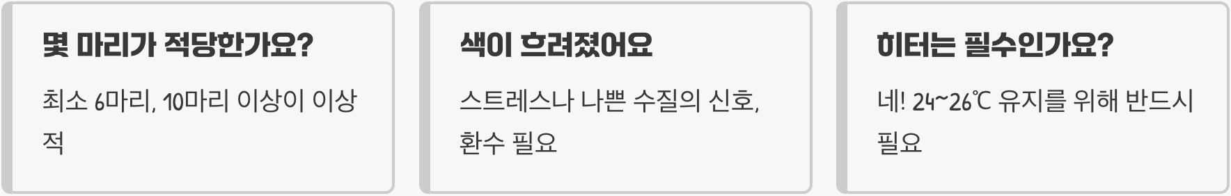 네온테트라 키우기 A to Z (어항, 먹이, 수질 관리)