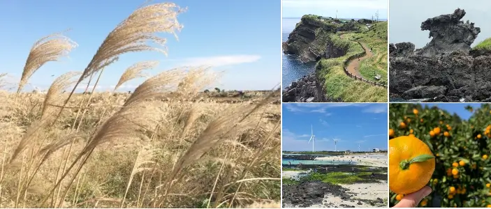 연인이 갈만한 제주도 호텔 TOP 10, 주변볼거리 즐길거리