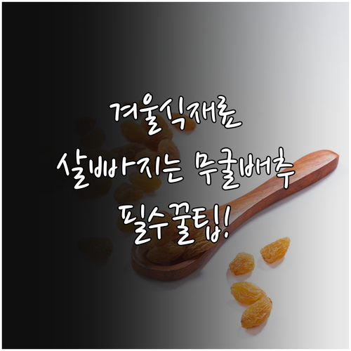효과적인 겨울 다이어트 식재료 추천 ..