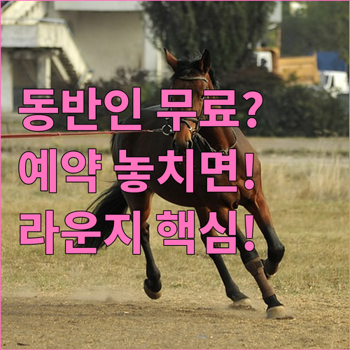 공항 라운지 동반 인원 정책과 사전 ..