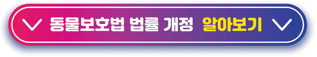 동물보호법 법률 개정 알아보기