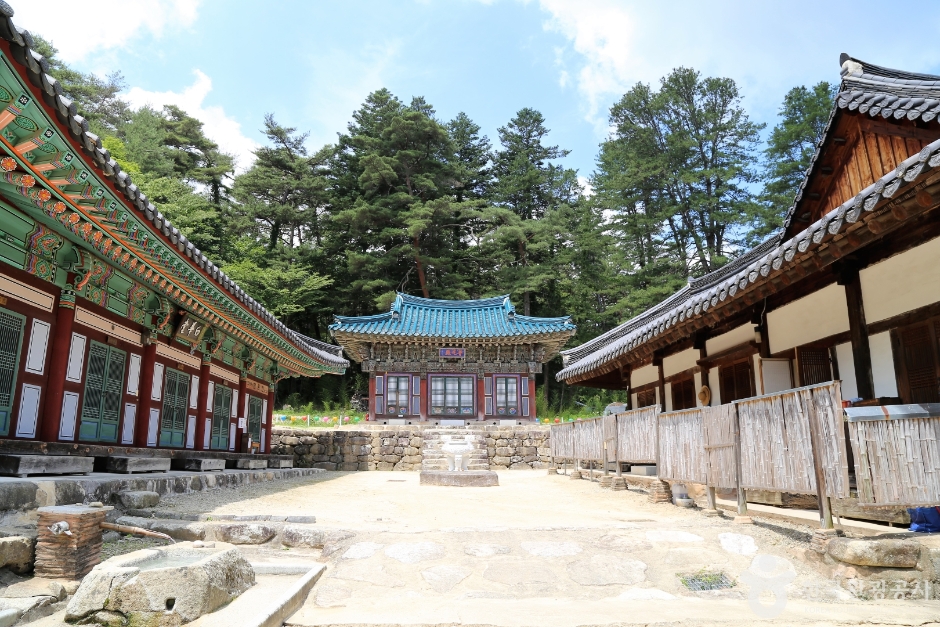 김천 가볼만한곳 베스트10