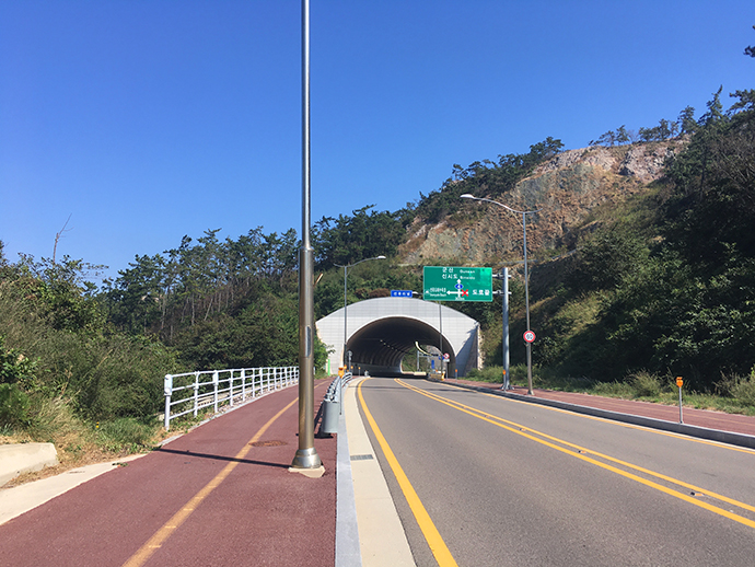 차도옆-인도-걸어가는중