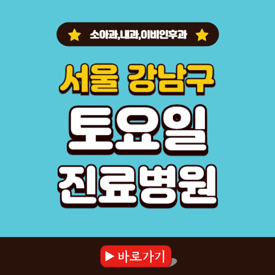 서울 강남구 토요일 진료 병원 찾기 ❘ 주말 문여는 소아과, 내과, 이비인후과 리스트