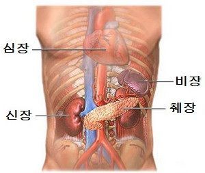 비장이란