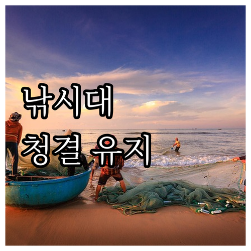 낚시대 청결 유지법: 종류별 세척 및
