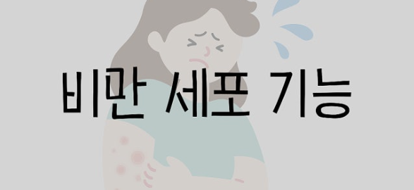 비만세포 없애는 방법 - 제가 3개월간 직접 시도한 결과