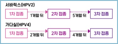 자궁경부암-예방접종-백신