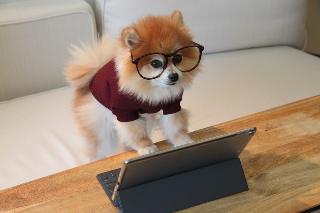 Expert.