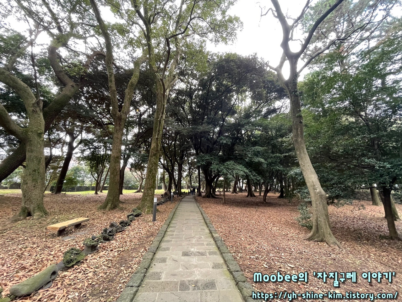 제주 삼성혈