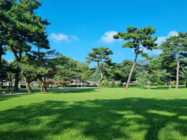 경주의 전통 마을에서 만나는 신라의 문화유산