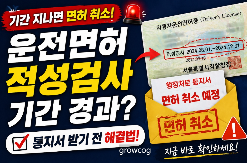 운전면허 적성검사 기간 경과? "면허 취소" 통지서 받기 전 해결법
