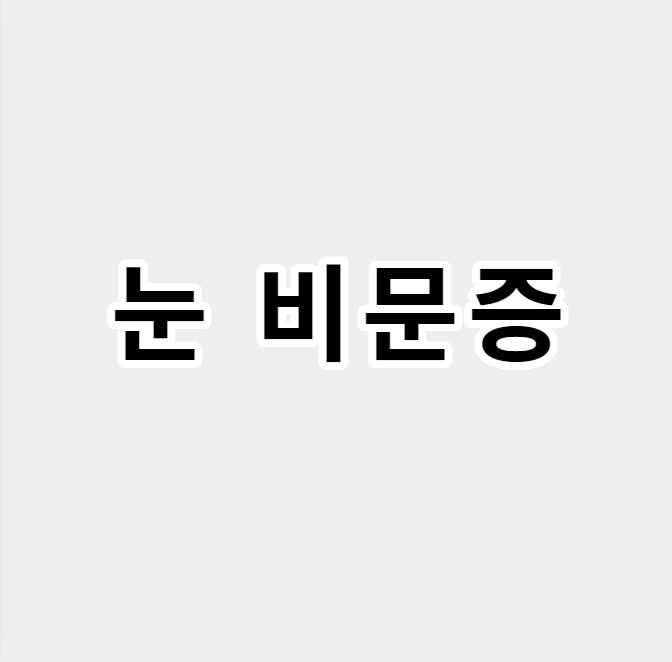 눈비문증