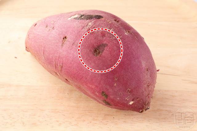 상한 고구마 구별,고구마 검은반점