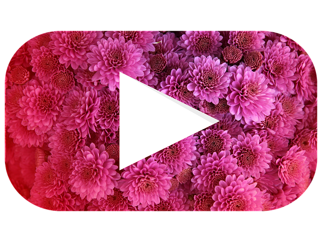 유튜브 관련 이미지