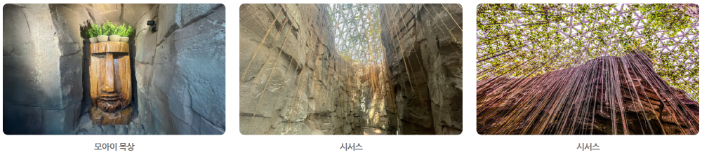 거제 정글돔
