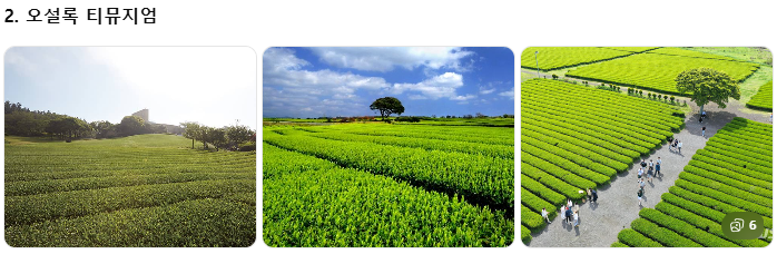 렌터카보다 효율적인 제주 관광택시, 중형&middot;대형 제주택시투어 비교! 1일 코스별 예산 가이드