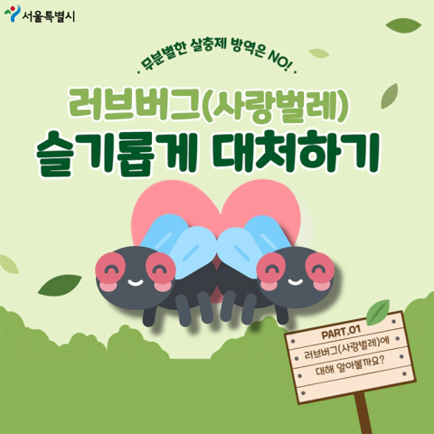 러브버그 대처법