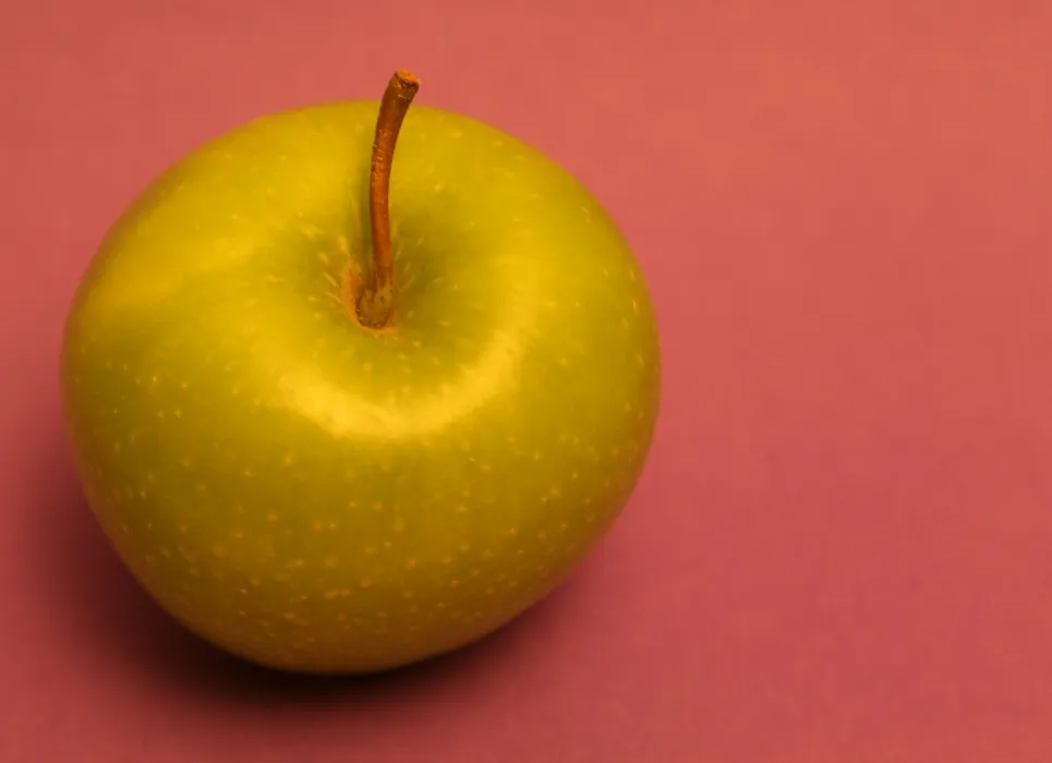 아오리-사과-사진