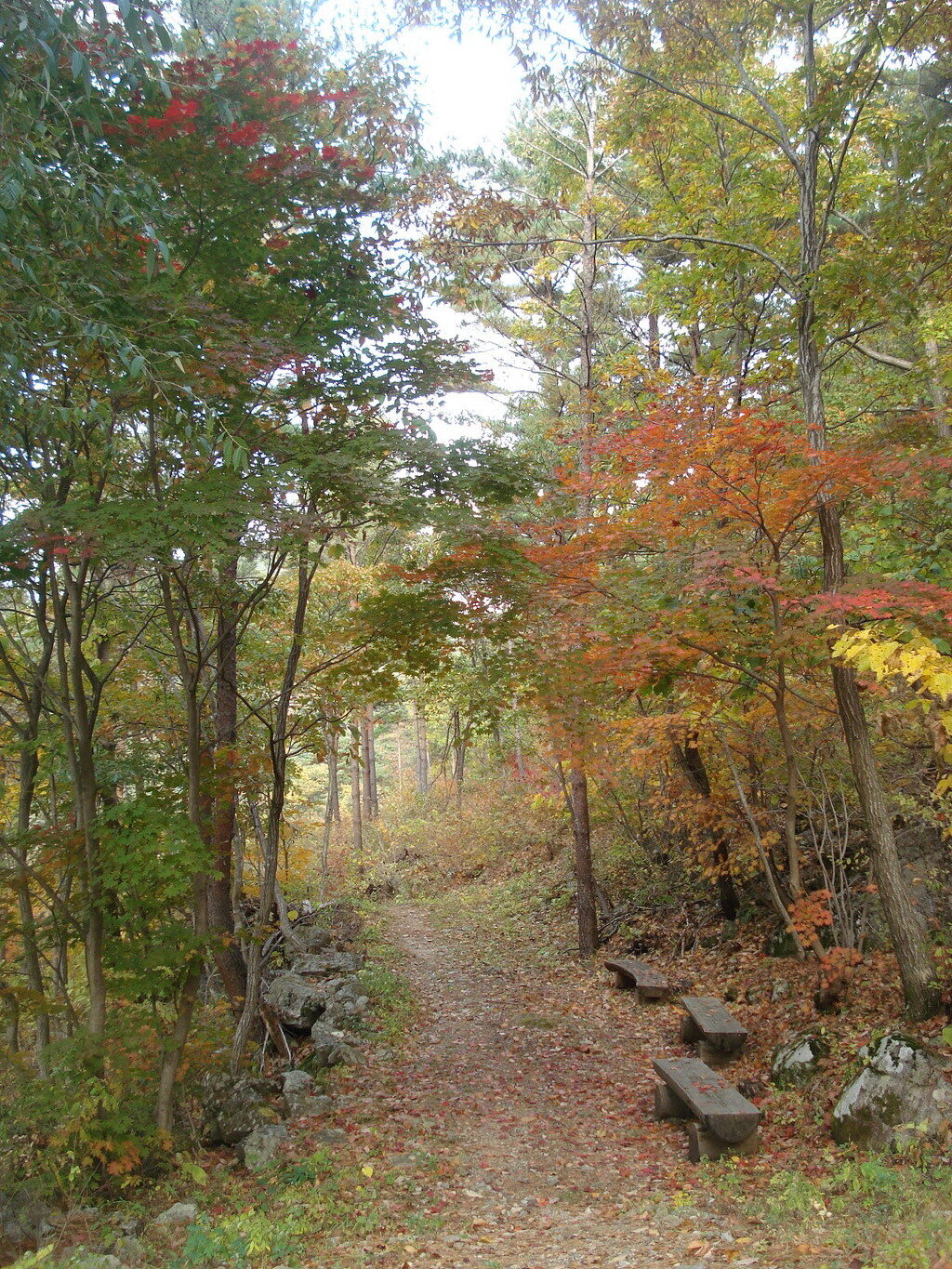 검봉산 자연휴양림