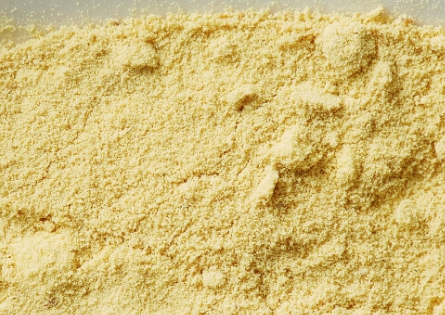 송화가루 시기와 꽃가루지수 확인 사이트 &amp;#124; 꽃가루 알레르기 증상 3가지 