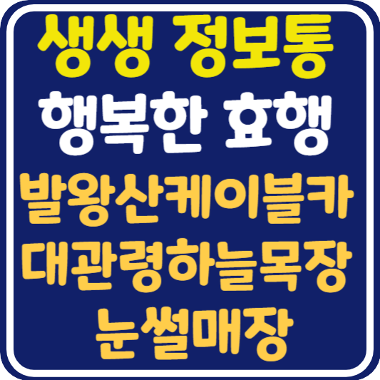 생생 정보통 평창 발왕산 케이블카, 대관령 하늘목장, 눈썰매장 위치 및 정보 : 행복한 효행할까요?