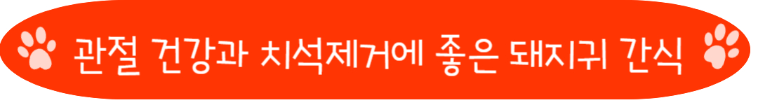 관절 건강과 치석제거에 좋은 돼지귀 강아지 간식