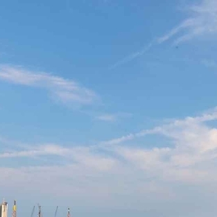 경기도 거북선 봄 달콤 축제