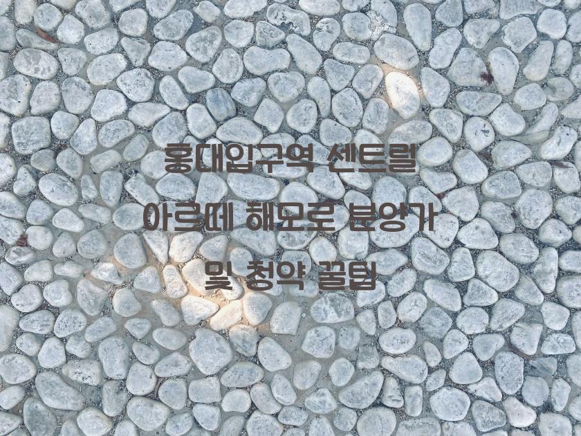 홍대입구역 센트럴 아르떼 해모로