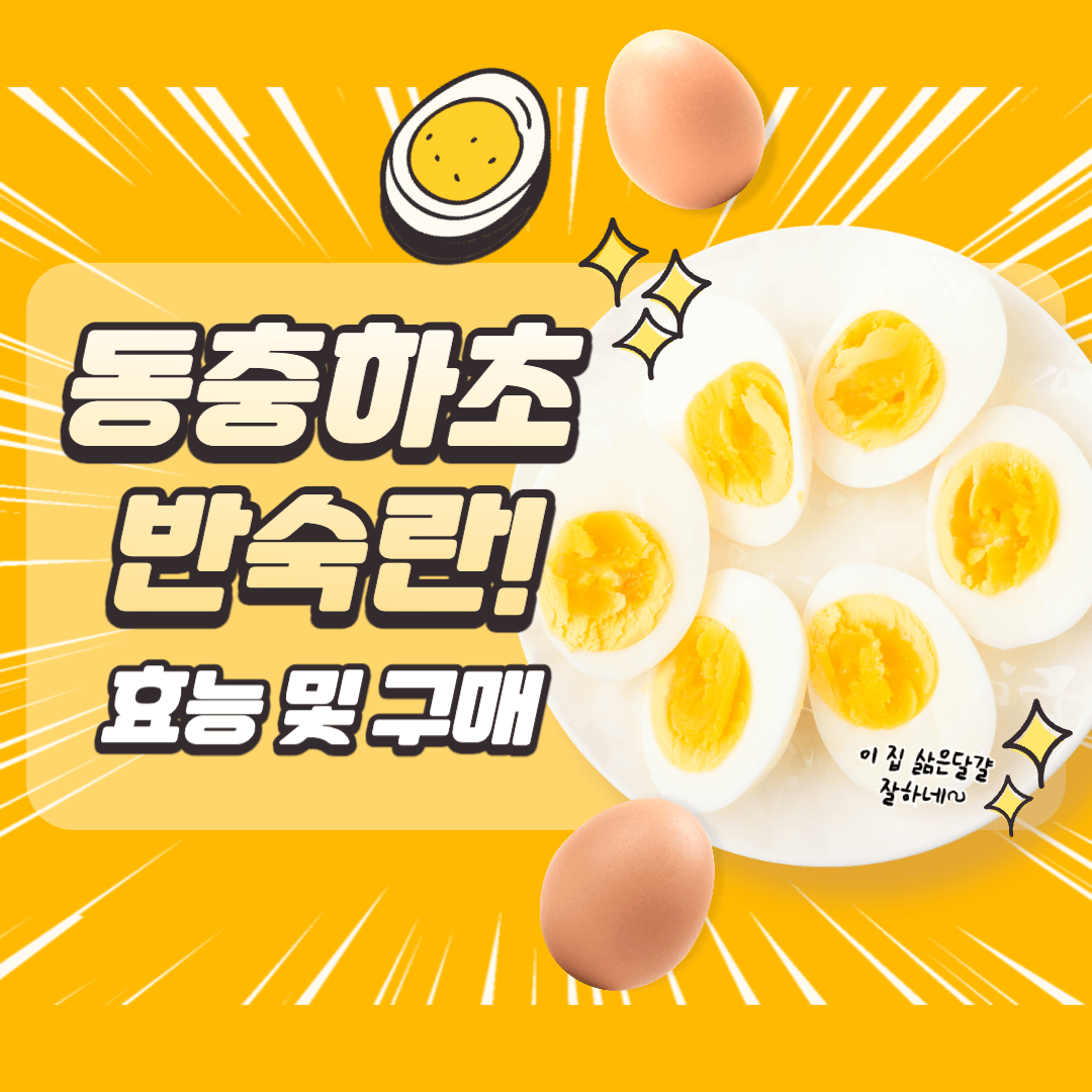 동충하초 반숙란 효능 조리 활용법