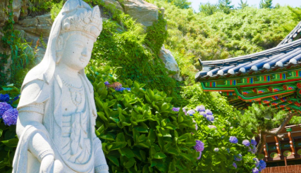 강원권 수국명소 추천 7곳&amp;#44; 여름 여행지로 꼭 가봐야 할 인생샷 스폿 총정리