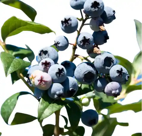 위암 초기증상&amp;#44; 위암에 좋은 음식 Best 10