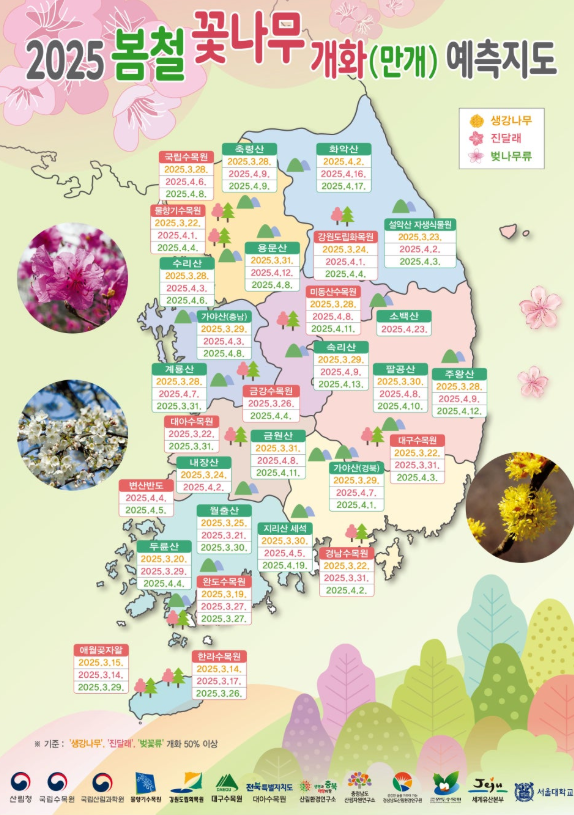 벚꽃개화시기