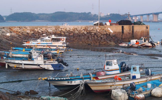 영흥도 하늘고래 전망대