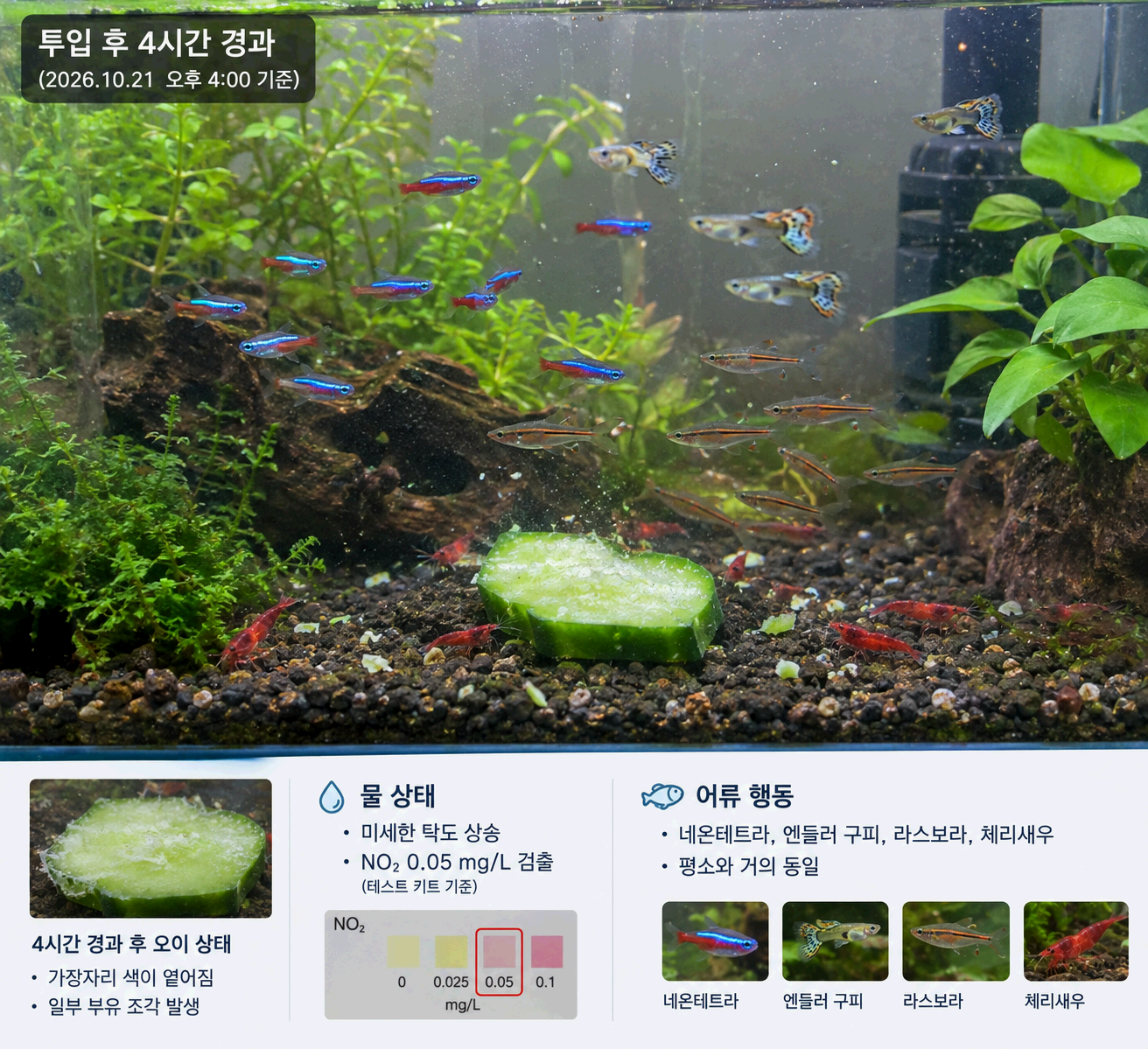 오이를 밤새 넣어보고 배운 회수 기준
