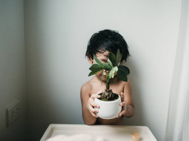 아이들과 함께 키워도 안전한 식물 종류를 소개하고. 독성 걱정 없이 실내에서 키우는 방법 정리.
육아 가정용 식물 가이드