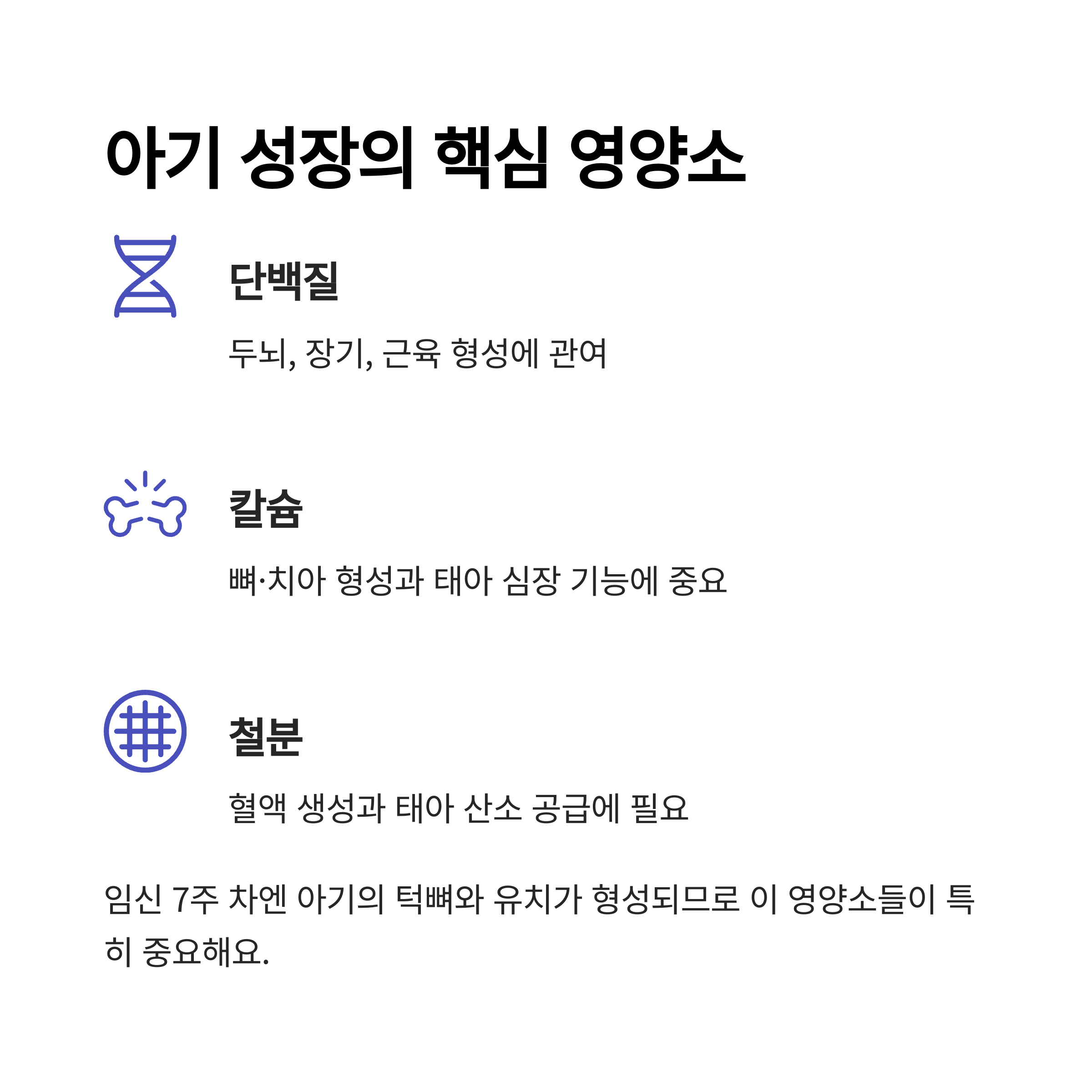태아의 두뇌, 심장, 혈액 형성에 필요한 단백질, 칼슘, 철분의 중요성을 소개하는 이미지