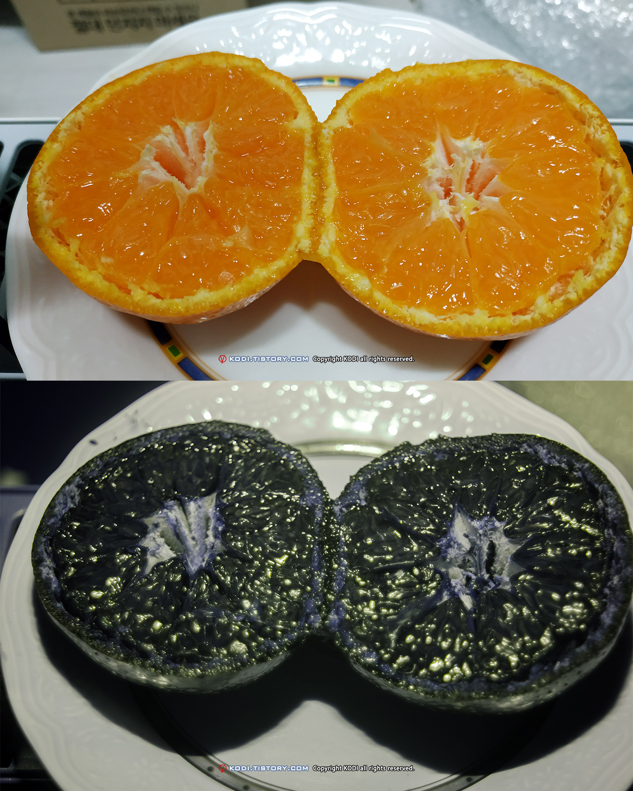 Nikon D5100 UV Photo