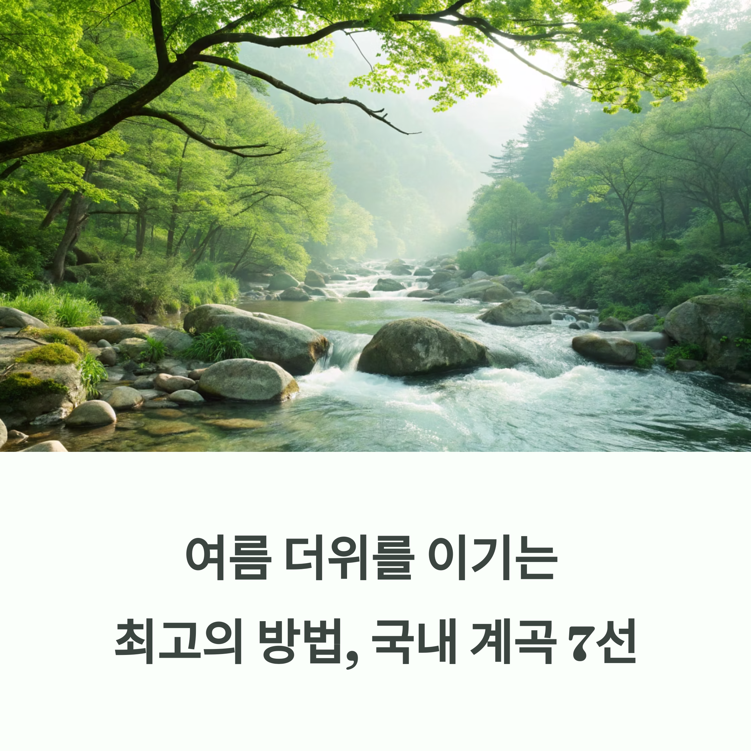 여름에 시원한 국내 계곡 여행지 추천