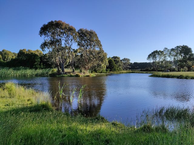 호주 키러니 폭포 강 풍경
