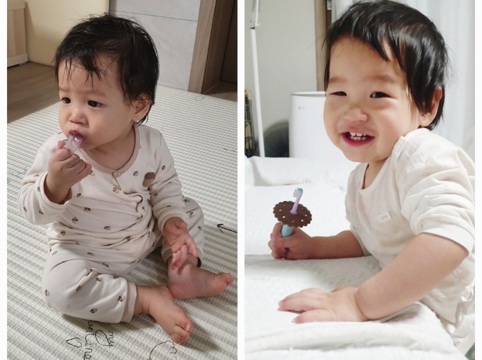 그 전에 사용한 칫솔