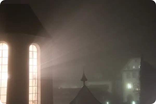 양파장아찌 담그는 법