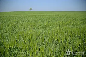 전라도 지역 명소 16선